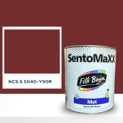 Filli Boya Sentomaxx Boya NCS S 5040-Y90R