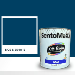 Filli Boya Sentomaxx Boya NCS S 5540-B