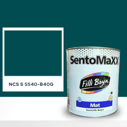 Filli Boya Sentomaxx Boya NCS S 5540-B40G