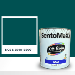 Filli Boya Sentomaxx Boya NCS S 5540-B50G