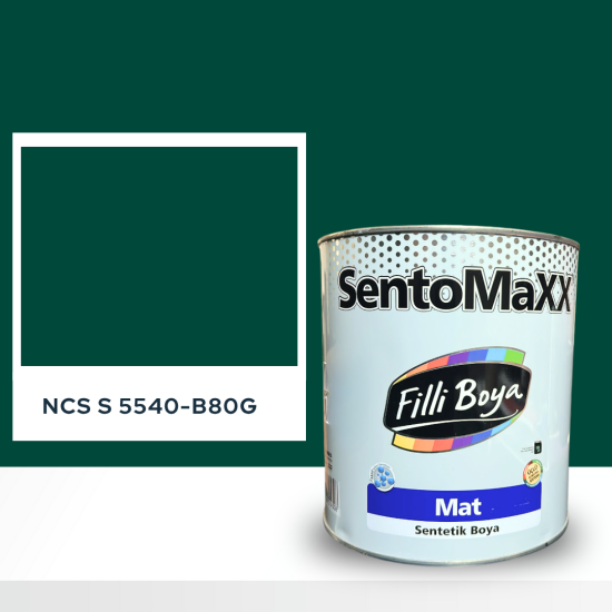 Filli Boya Sentomaxx Boya NCS S 5540-B80G