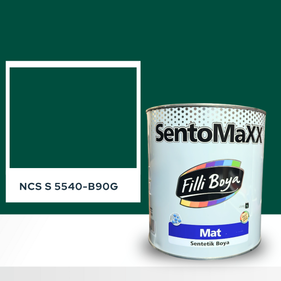 Filli Boya Sentomaxx Boya NCS S 5540-B90G