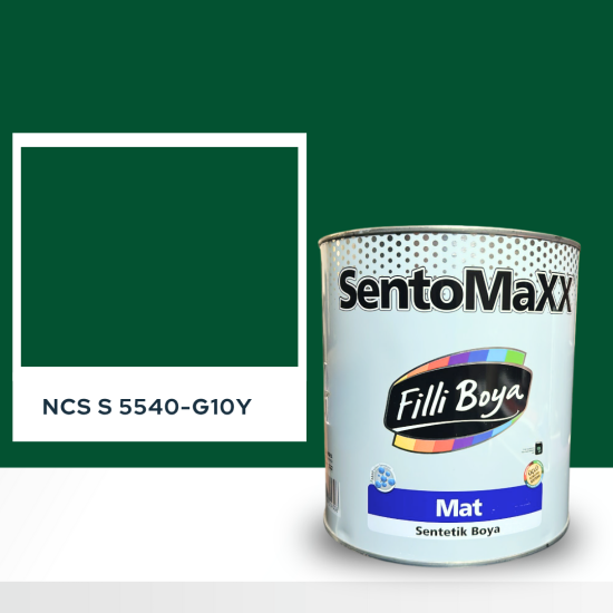 Filli Boya Sentomaxx Boya NCS S 5540-G10Y