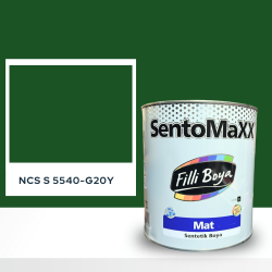 Filli Boya Sentomaxx Boya NCS S 5540-G20Y