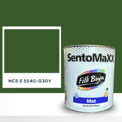 Filli Boya Sentomaxx Boya NCS S 5540-G30Y