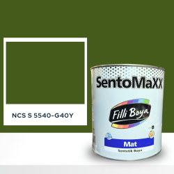 Filli Boya Sentomaxx Boya NCS S 5540-G40Y