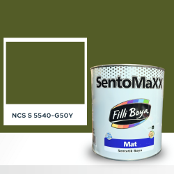 Filli Boya Sentomaxx Boya NCS S 5540-G50Y