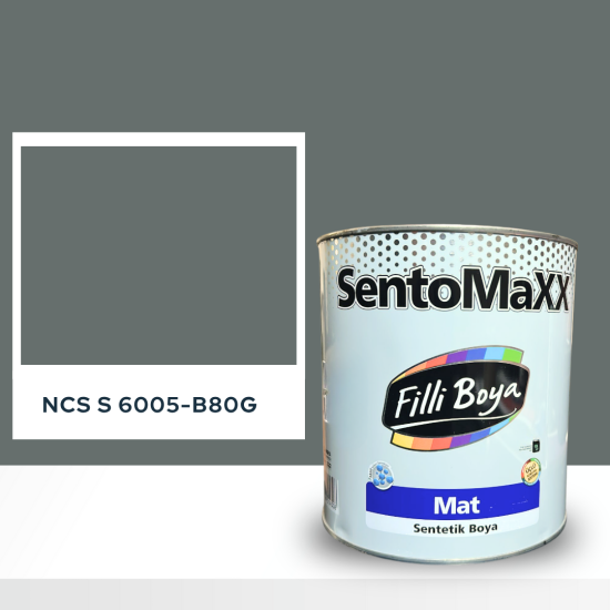 Filli Boya Sentomaxx Boya NCS S 6005-B80G