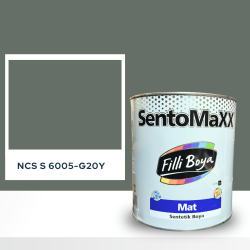 Filli Boya Sentomaxx Boya NCS S 6005-G20Y