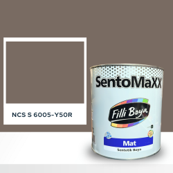 Filli Boya Sentomaxx Boya NCS S 6005-Y50R