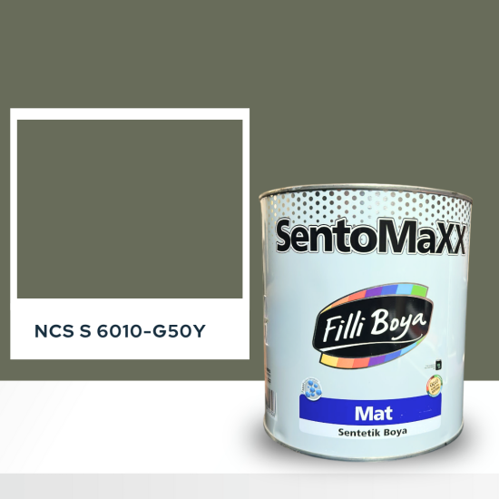 Filli Boya Sentomaxx Boya NCS S 6010-G50Y Filli Boya Sentomaxx Boya NCS S 6010-G50Y