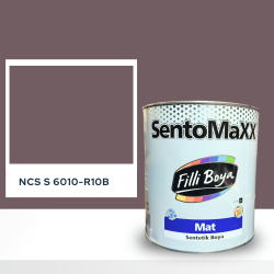Filli Boya Sentomaxx Boya NCS S 6010-R10B