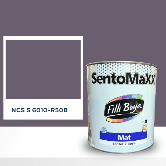 Filli Boya Sentomaxx Boya NCS S 6010-R50B