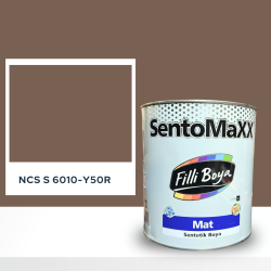 Filli Boya Sentomaxx Boya NCS S 6010-Y50R