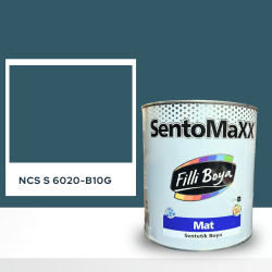 Filli Boya Sentomaxx Boya NCS S 6020-B10G