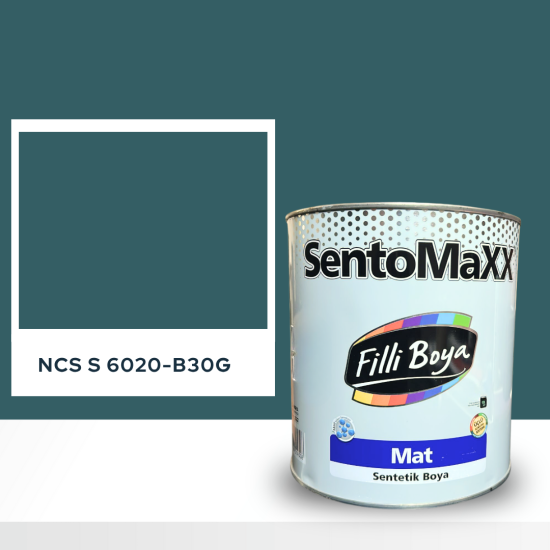 Filli Boya Sentomaxx Boya NCS S 6020-B30G