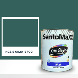 Filli Boya Sentomaxx Boya NCS S 6020-B70G