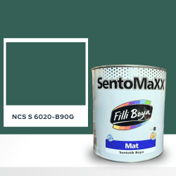 Filli Boya Sentomaxx Boya NCS S 6020-B90G
