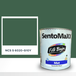 Filli Boya Sentomaxx Boya NCS S 6020-G10Y