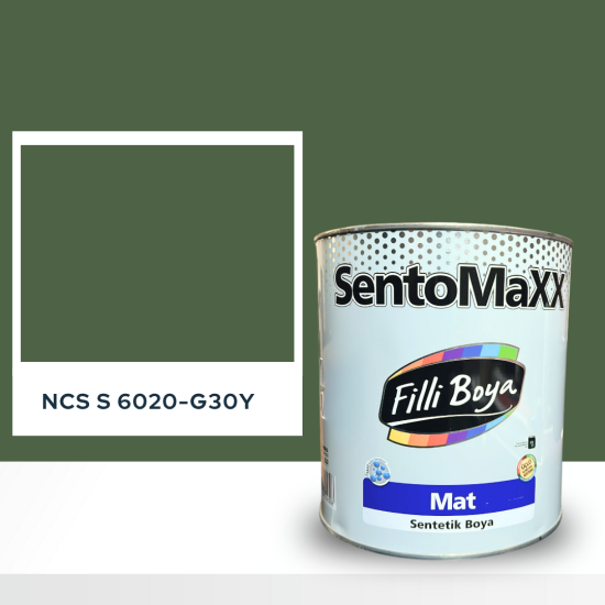 Filli Boya Sentomaxx Boya NCS S 6020-G30Y