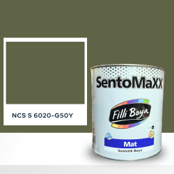 Filli Boya Sentomaxx Boya NCS S 6020-G50Y