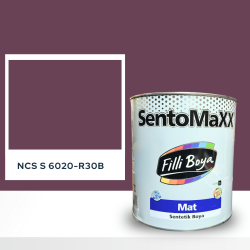 Filli Boya Sentomaxx Boya NCS S 6020-R30B