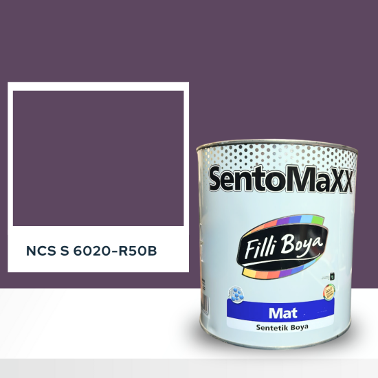 Filli Boya Sentomaxx Boya NCS S 6020-R50B Filli Boya Sentomaxx Boya NCS S 6020-R50B