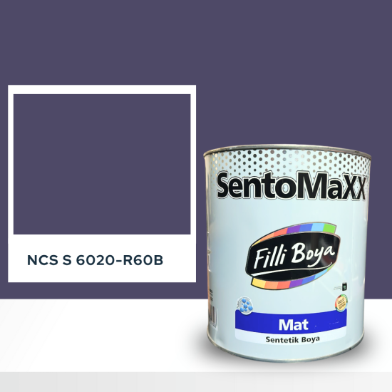 Filli Boya Sentomaxx Boya NCS S 6020-R60B