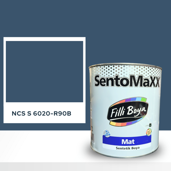 Filli Boya Sentomaxx Boya NCS S 6020-R90B