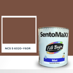 Filli Boya Sentomaxx Boya NCS S 6020-Y60R