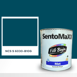 Filli Boya Sentomaxx Boya NCS S 6030-B10G