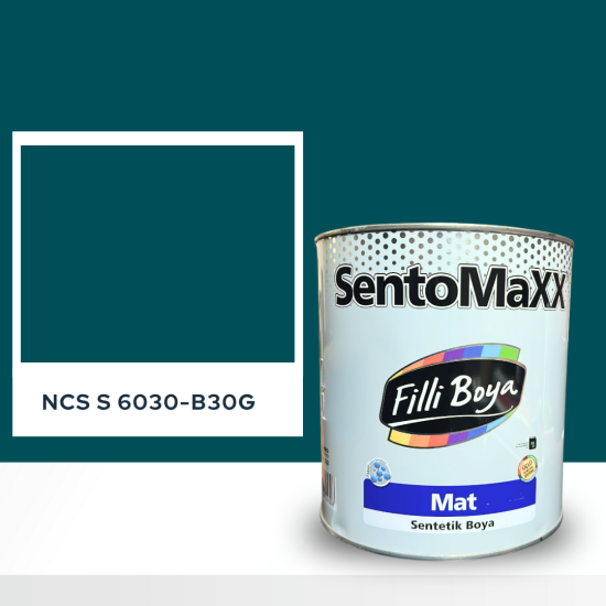 Filli Boya Sentomaxx Boya NCS S 6030-B30G