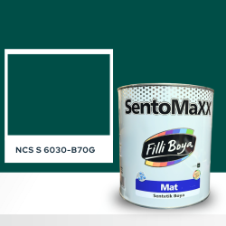 Filli Boya Sentomaxx Boya NCS S 6030-B70G