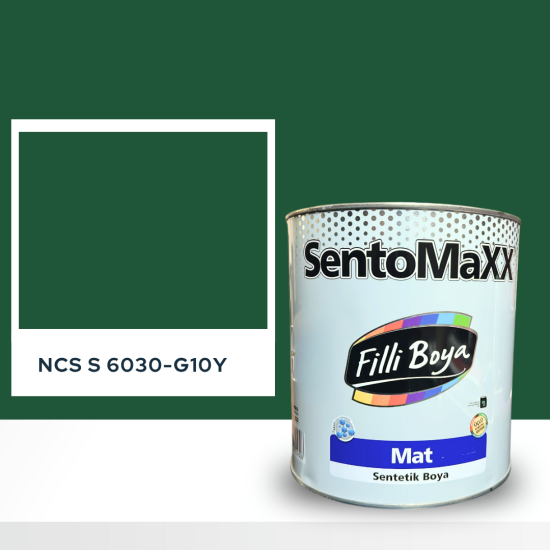 Filli Boya Sentomaxx Boya NCS S 6030-G10Y