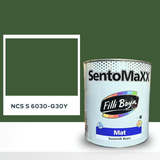 Filli Boya Sentomaxx Boya NCS S 6030-G30Y