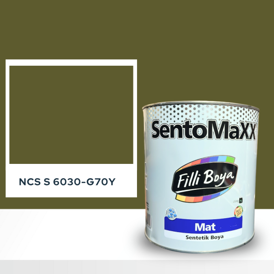 Filli Boya Sentomaxx Boya NCS S 6030-G70Y Filli Boya Sentomaxx Boya NCS S 6030-G70Y