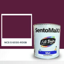 Filli Boya Sentomaxx Boya NCS S 6030-R30B