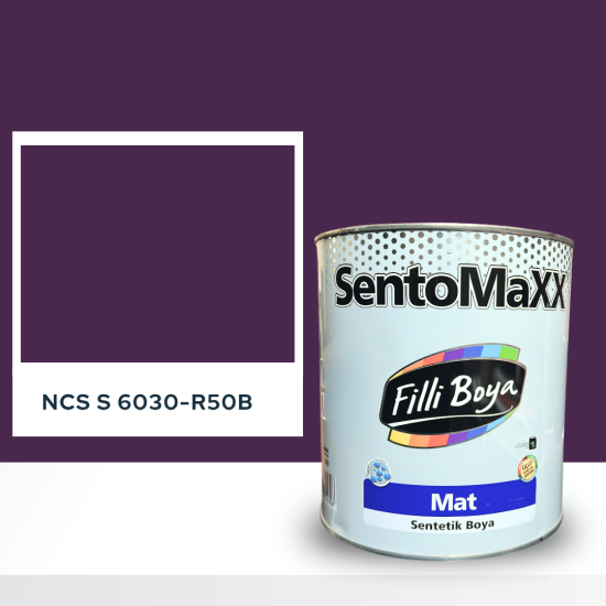 Filli Boya Sentomaxx Boya NCS S 6030-R50B Filli Boya Sentomaxx Boya NCS S 6030-R50B