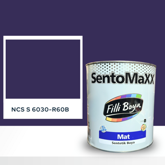 Filli Boya Sentomaxx Boya NCS S 6030-R60B