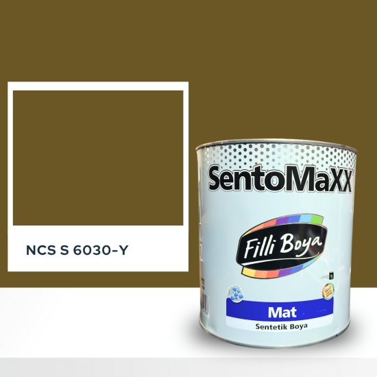 Filli Boya Sentomaxx Boya NCS S 6030-Y