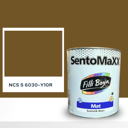Filli Boya Sentomaxx Boya NCS S 6030-Y10R