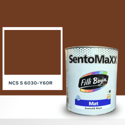 Filli Boya Sentomaxx Boya NCS S 6030-Y60R