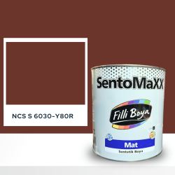 Filli Boya Sentomaxx Boya NCS S 6030-Y80R