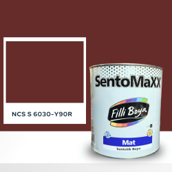 Filli Boya Sentomaxx Boya NCS S 6030-Y90R