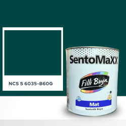 Filli Boya Sentomaxx Boya NCS S 6035-B60G