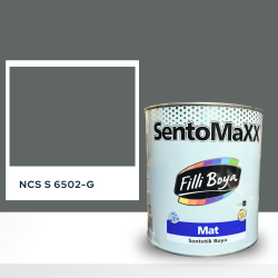 Filli Boya Sentomaxx Boya NCS S 6502-G