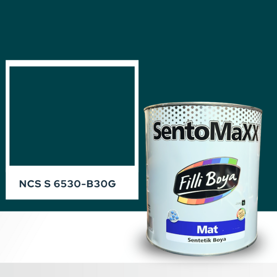 Filli Boya Sentomaxx Boya NCS S 6530-B30G