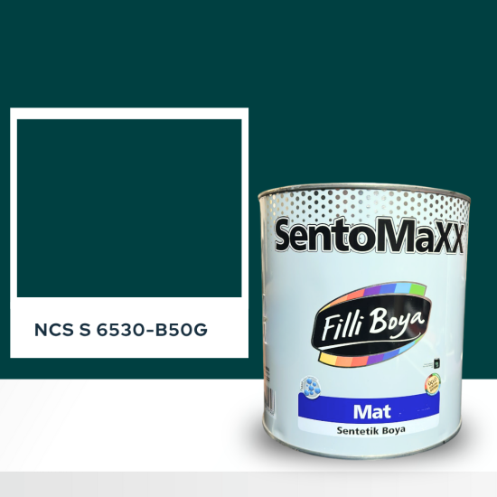 Filli Boya Sentomaxx Boya NCS S 6530-B50G