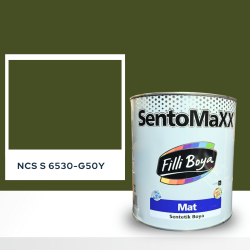 Filli Boya Sentomaxx Boya NCS S 6530-G50Y
