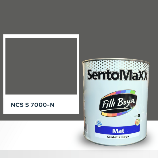 Filli Boya Sentomaxx Boya NCS S 7000-N